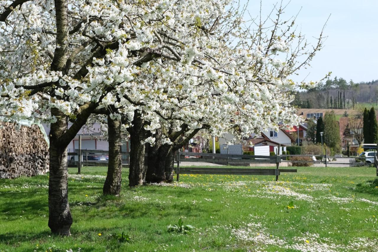 Ferienhof Schwehr 잘렘 외부 사진