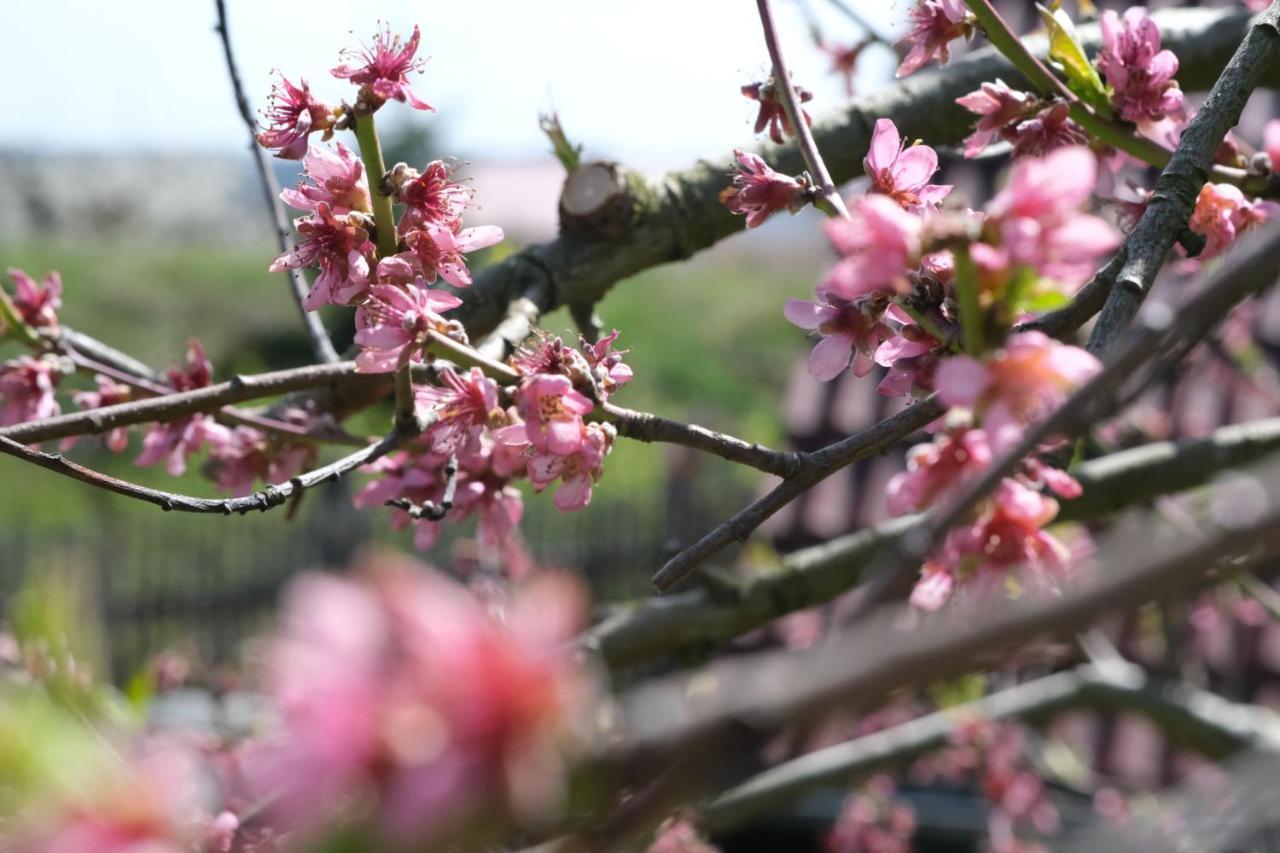 Ferienhof Schwehr 잘렘 외부 사진